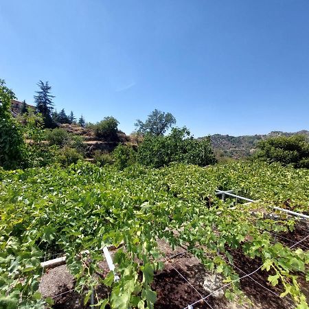Agros Green Valley Suites Limasol Buitenkant foto