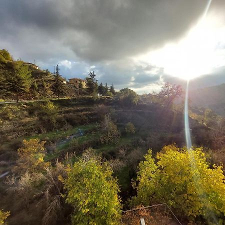 Agros Green Valley Suites Limasol Buitenkant foto