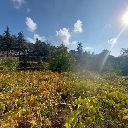 Agros Green Valley Suites Limasol Buitenkant foto