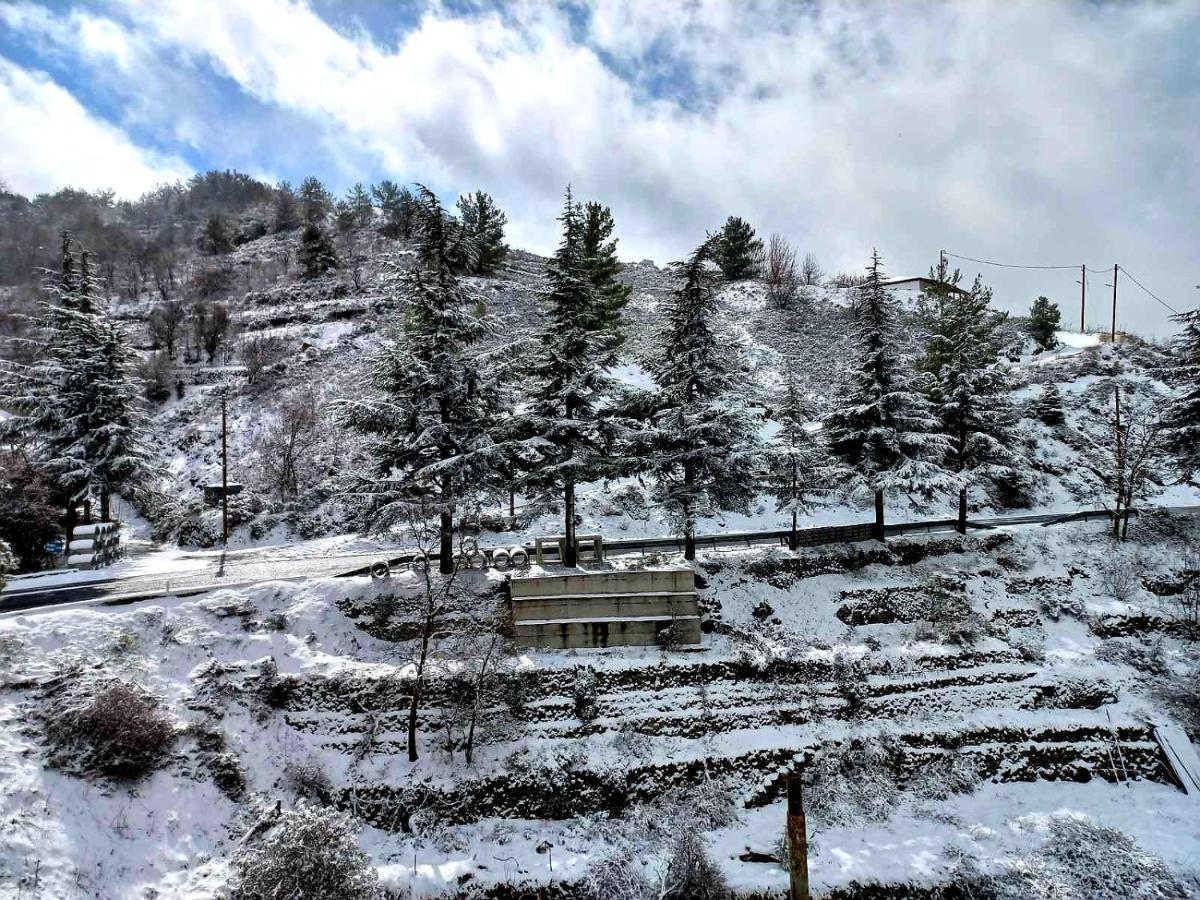 Agros Green Valley Suites Limasol Buitenkant foto