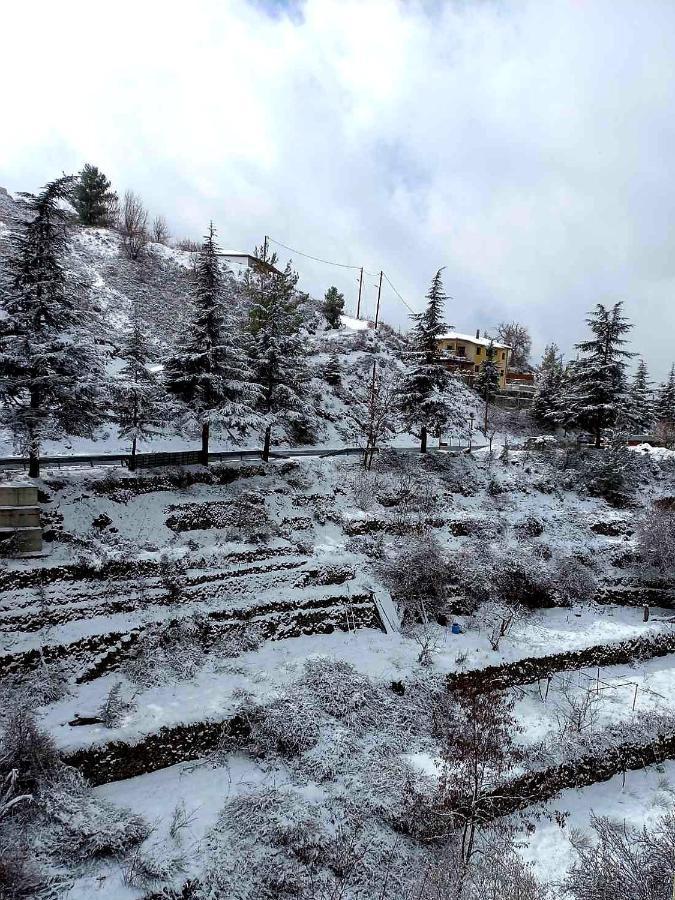 Agros Green Valley Suites Limasol Buitenkant foto