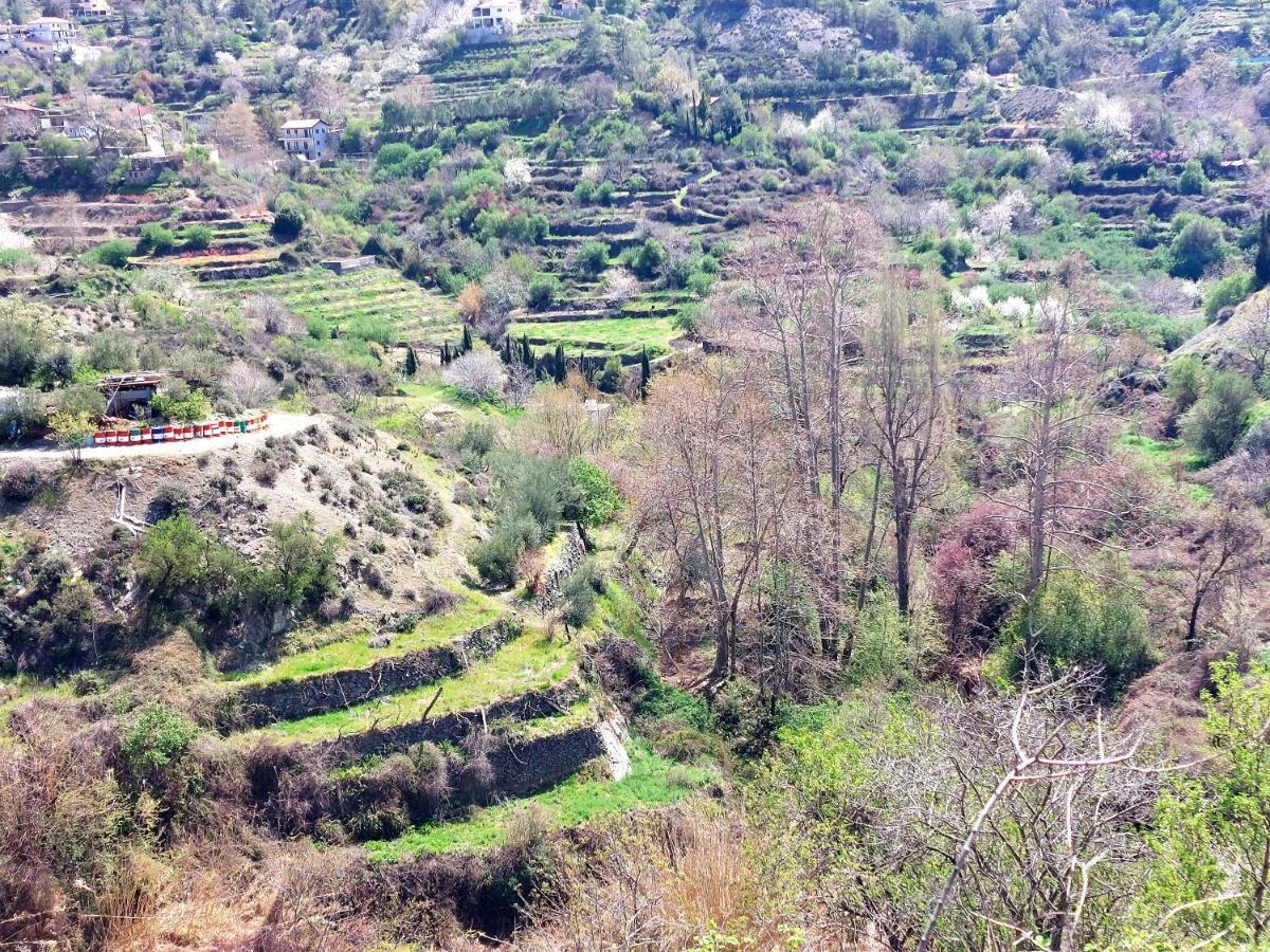 Agros Green Valley Suites Limasol Buitenkant foto