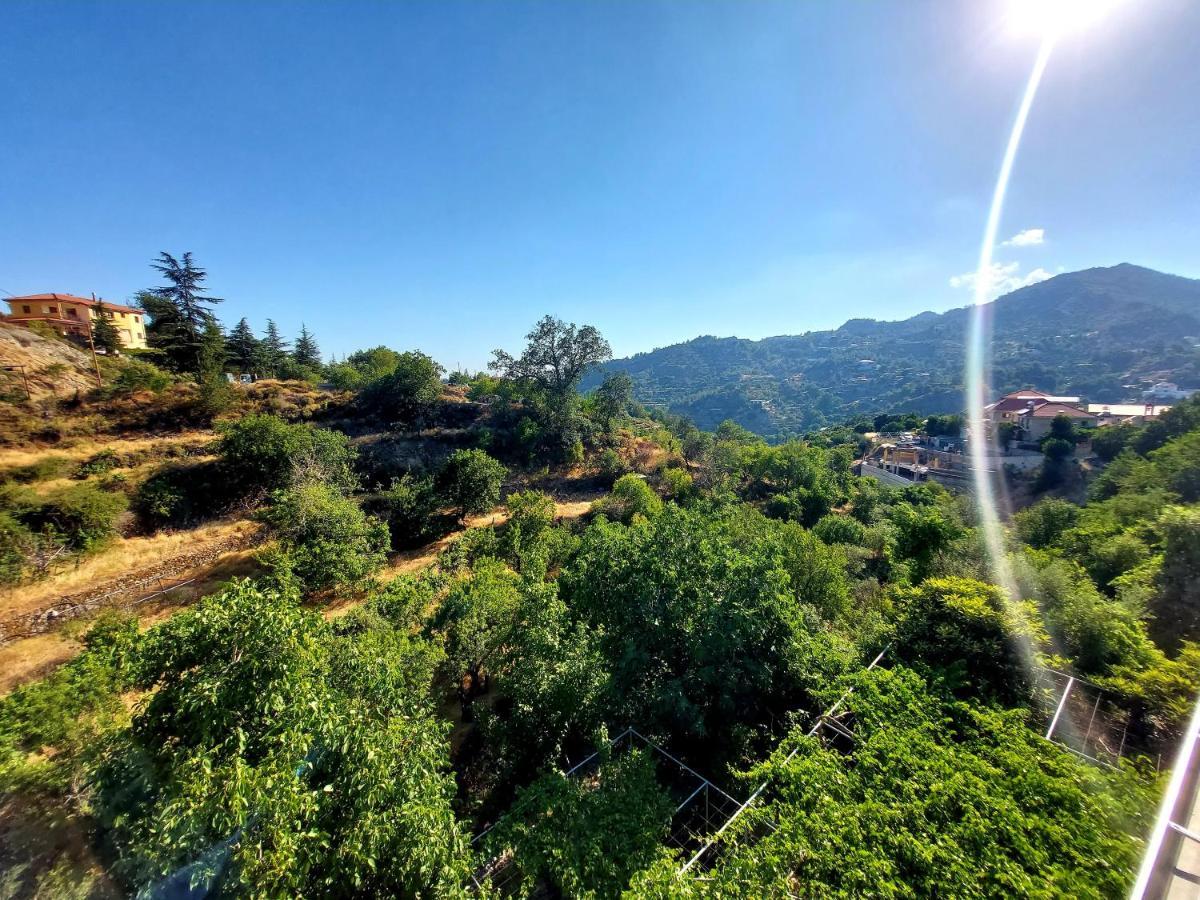 Agros Green Valley Suites Limasol Buitenkant foto
