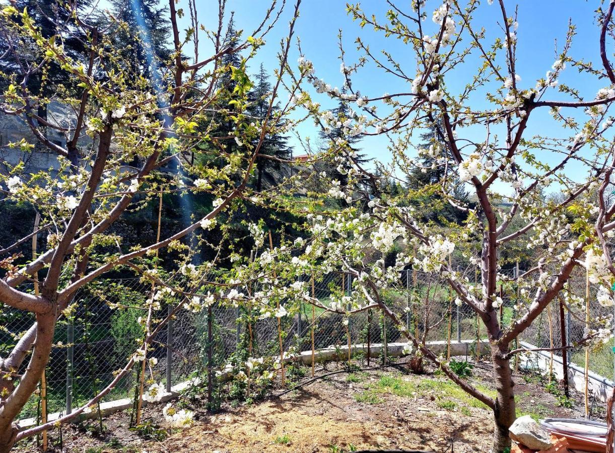 Agros Green Valley Suites Limasol Buitenkant foto