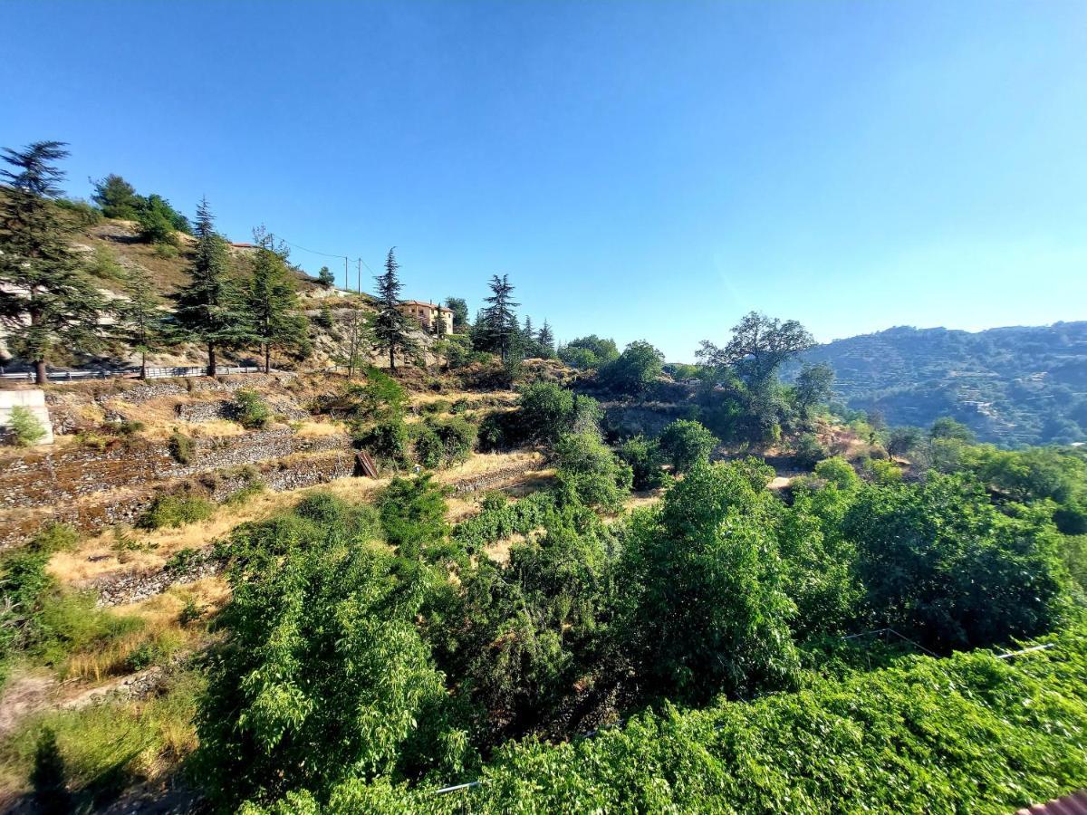 Agros Green Valley Suites Limasol Buitenkant foto