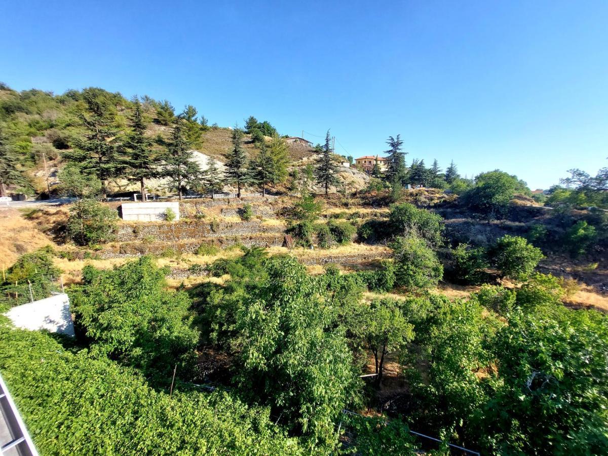 Agros Green Valley Suites Limasol Buitenkant foto