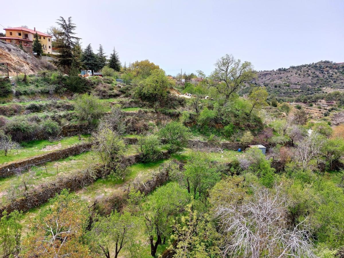 Agros Green Valley Suites Limasol Buitenkant foto