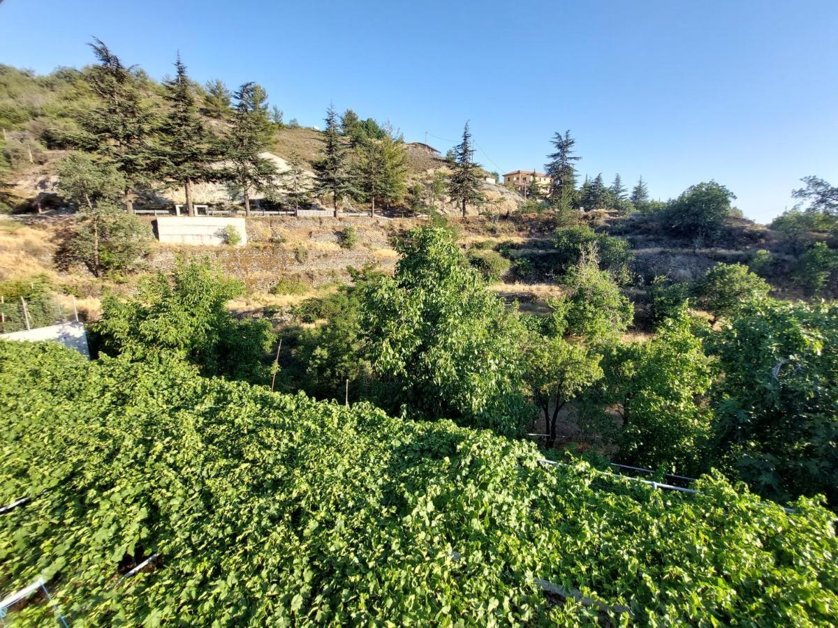 Agros Green Valley Suites Limasol Buitenkant foto