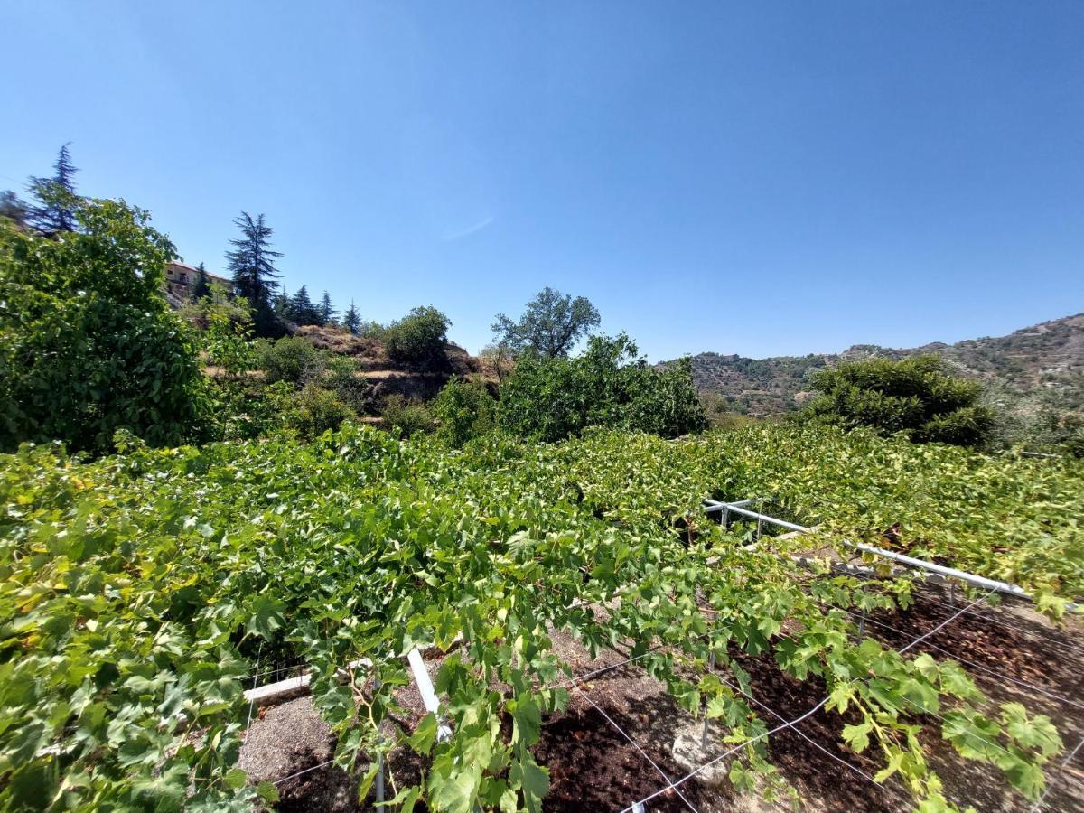 Agros Green Valley Suites Limasol Buitenkant foto