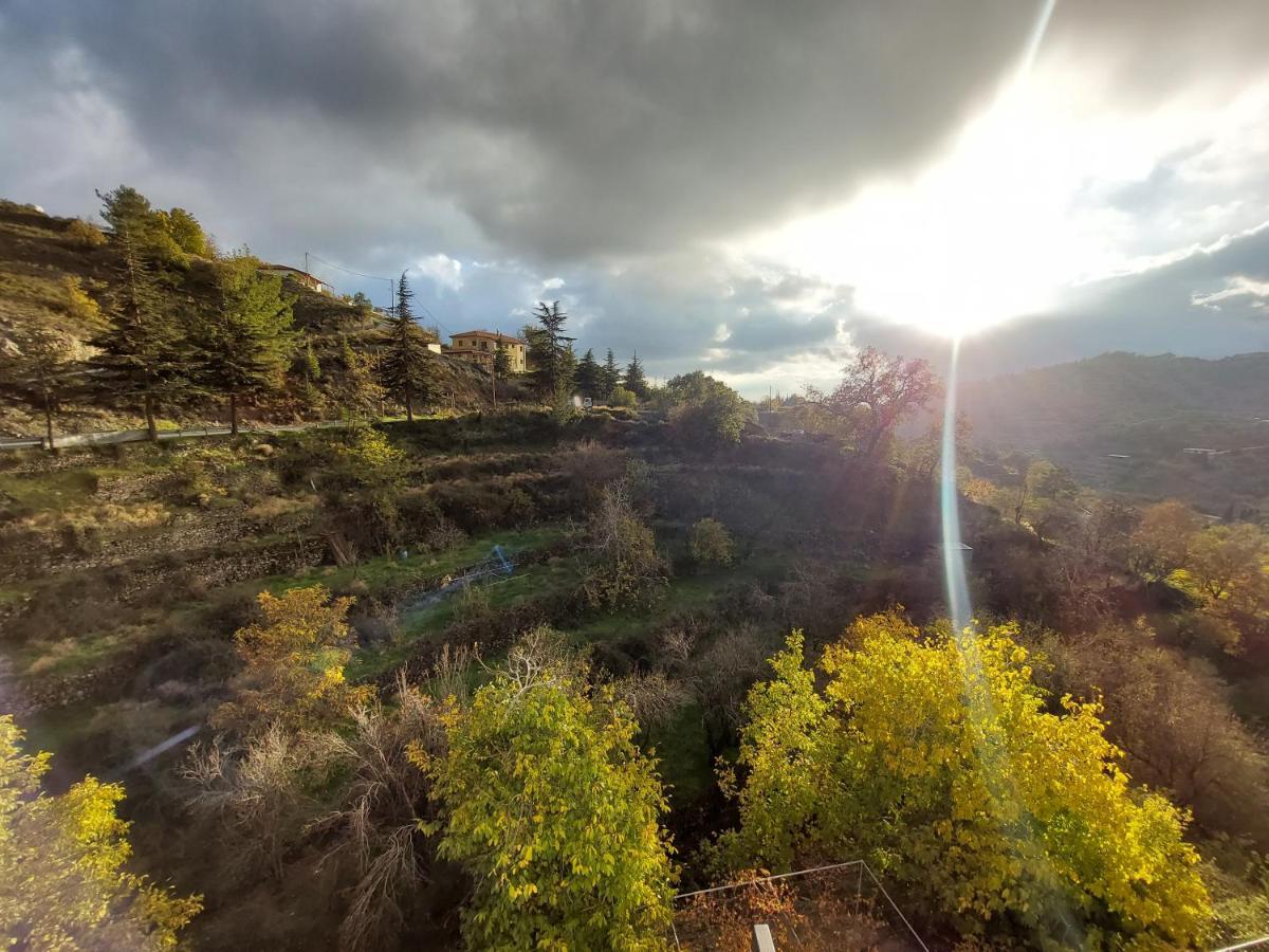 Agros Green Valley Suites Limasol Buitenkant foto
