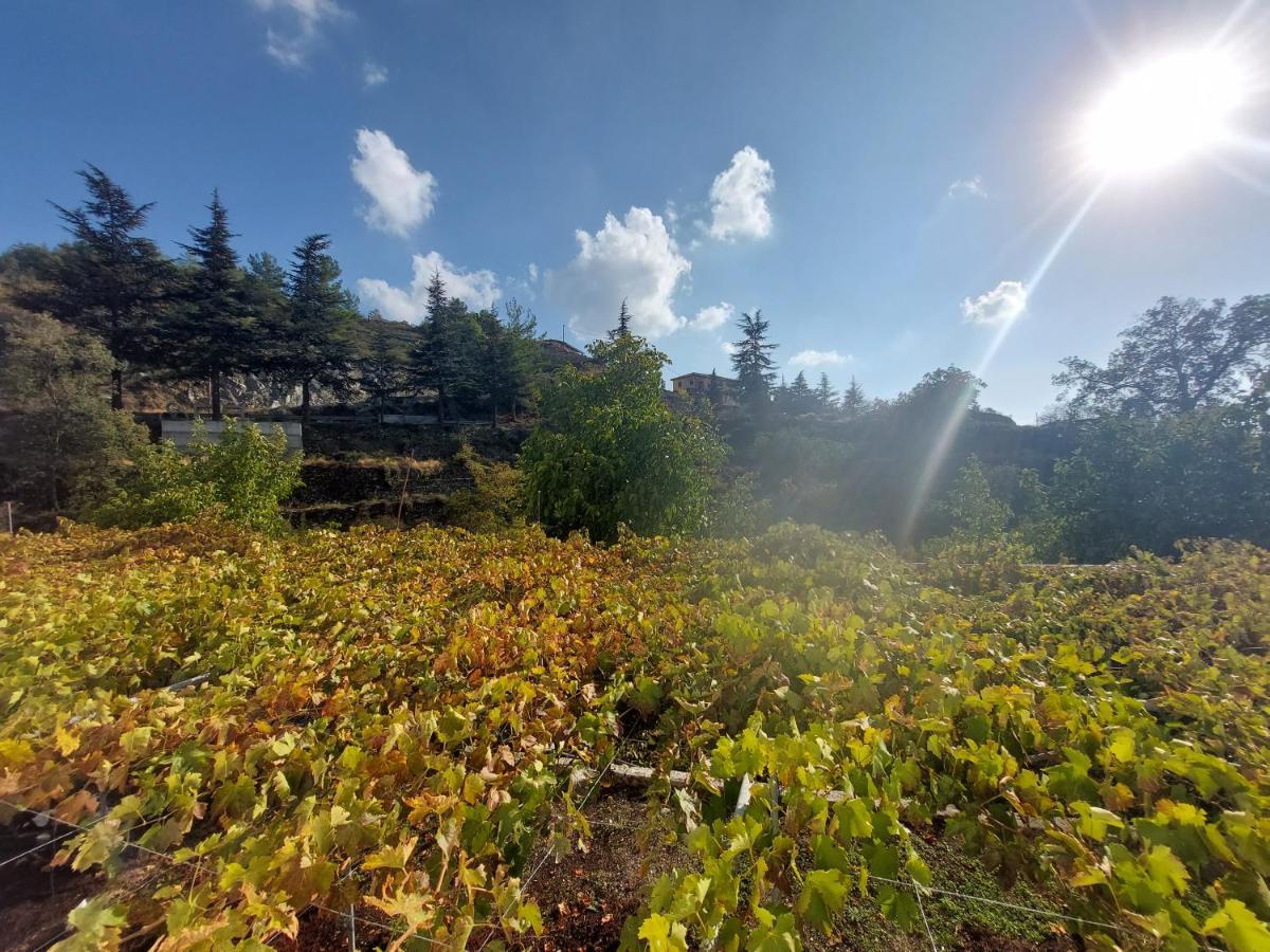 Agros Green Valley Suites Limasol Buitenkant foto